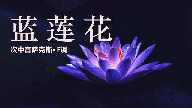 蓝莲花萨克斯演奏图片