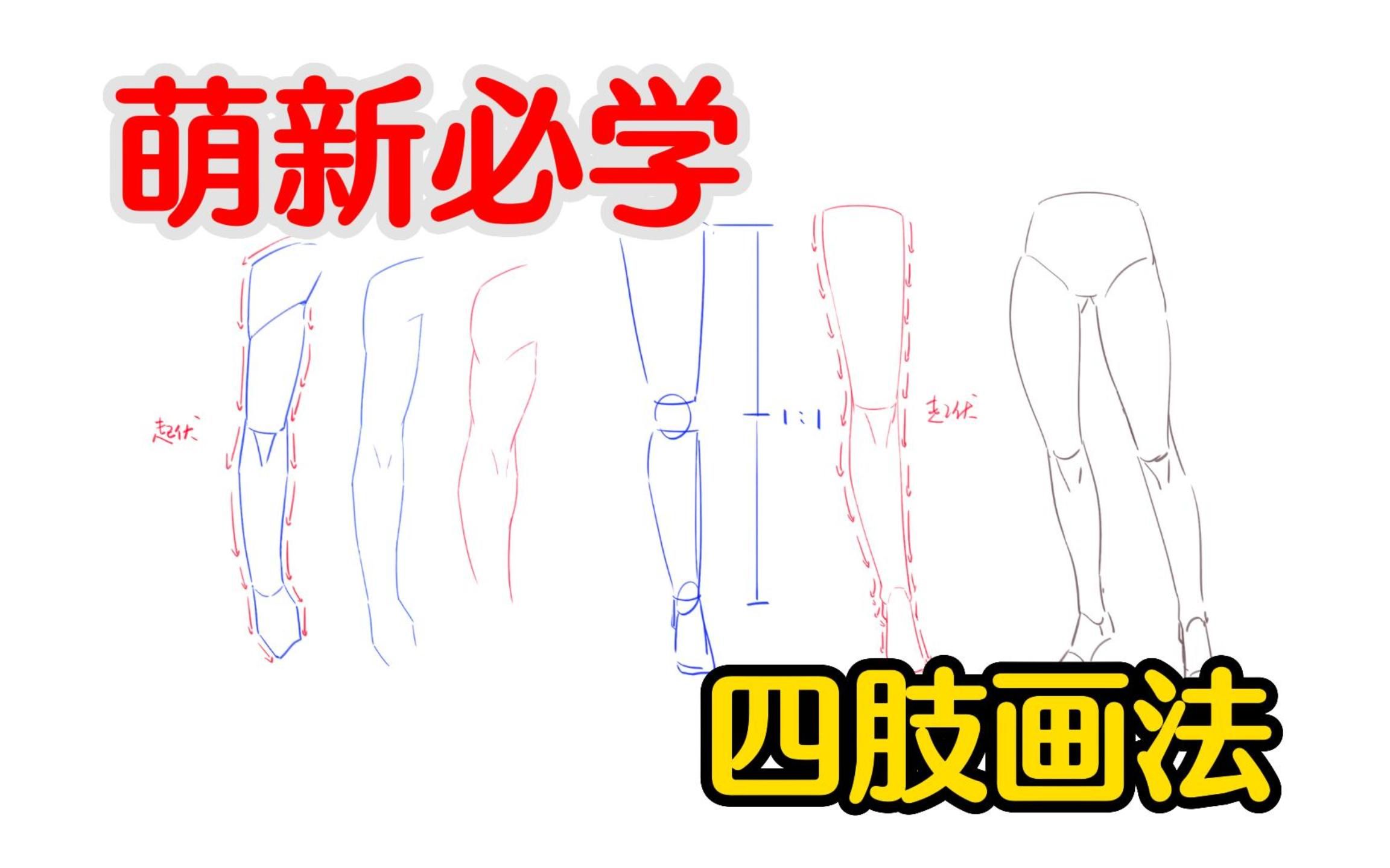 四肢应该怎么画?有什么注意要点?新手也能学会的手臂/腿部画法!【板绘教程 四肢 人体 画法 PS 原画 插画】哔哩哔哩bilibili