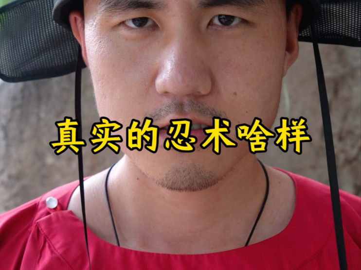 忍术忍术，其实古代黑天没有灯，是很黑的，所以最后那招在黑天有用海报