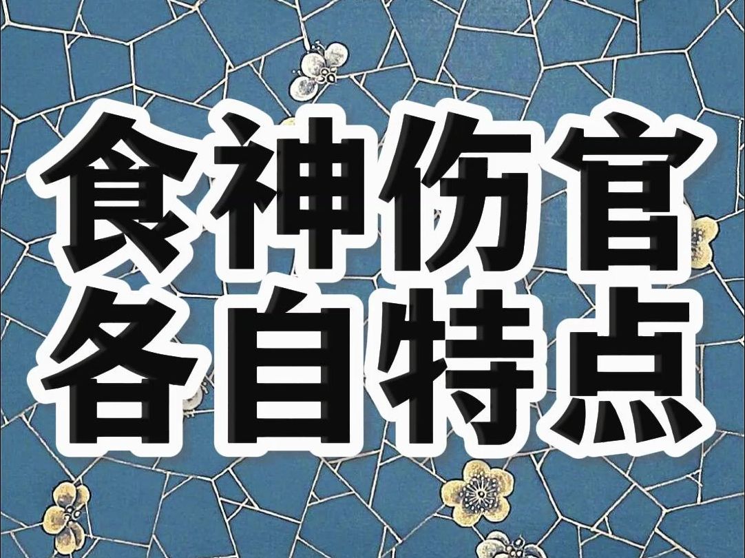 食神伤官都比劫和伤官的区别;为何食伤是非多?食神伤官特点;食神伤官的位置意义;为何伤官挑剔哔哩哔哩bilibili