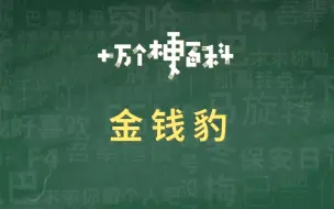 Download Video: 【金钱豹】《谁 会 信 》。