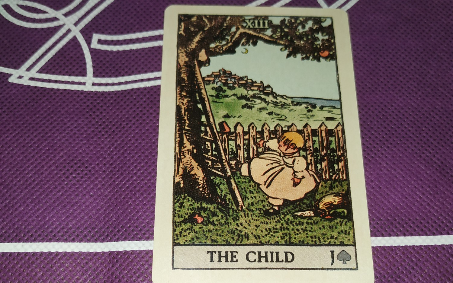 《看图说话:雷诺曼,利诺曼(①③号牌小孩)》