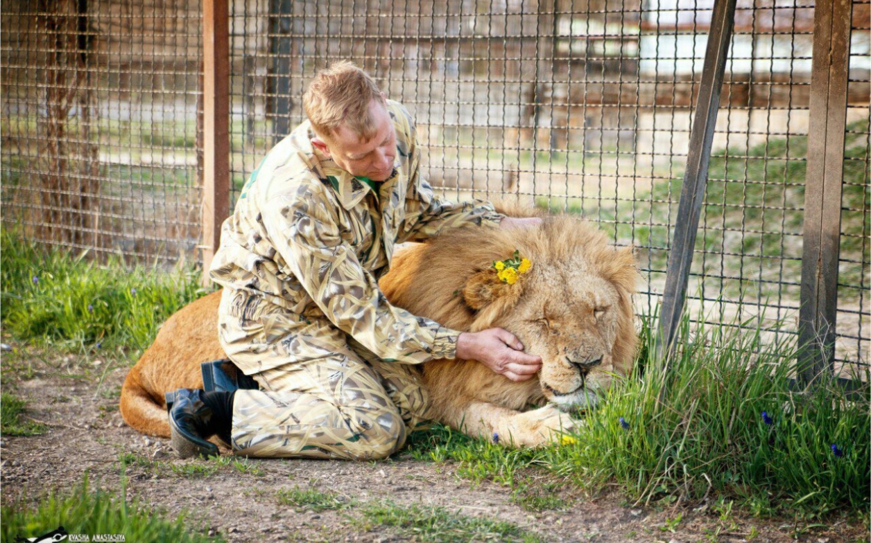 马利什每次想到你我都会露出笑容晚安宝贝
