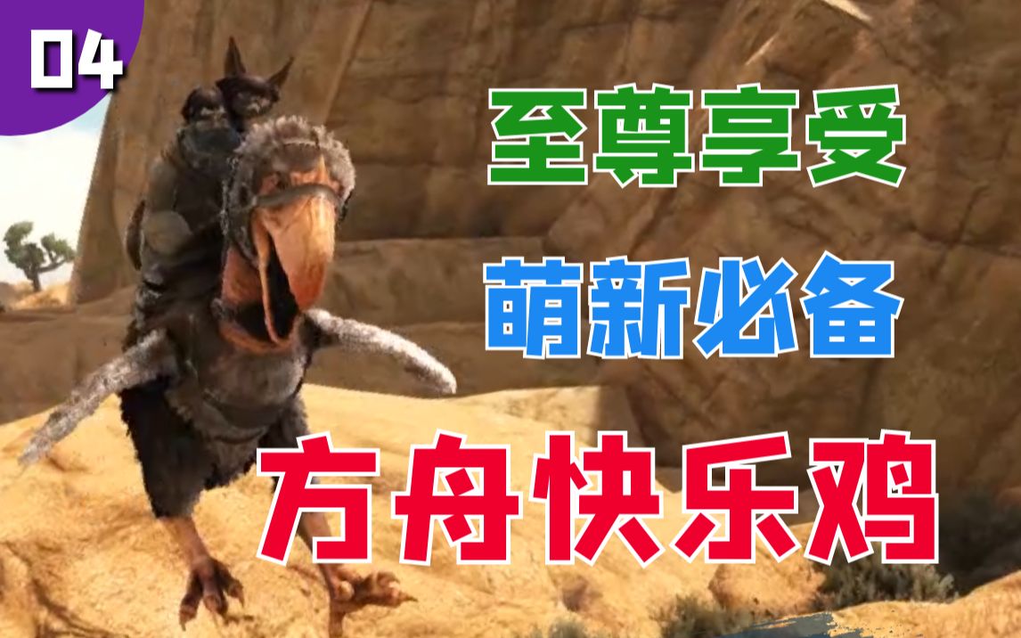骇鸟：做鸡嘛，最重要的就是开心！-辣椒不辣斯基-辣椒不辣斯基-哔哩哔哩视频