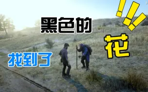 Download Video: 【荒野大镖客2】“找到黑色的花，你会有善报的。”一位盲人对约翰的劝告！