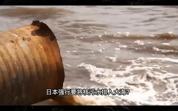 恐龙灭绝距今约6500万年人类出现距今约450万年这期间是谁在统治地球下一个文明会出现什么探索宇宙探索未知地球哔哩哔哩bilibili