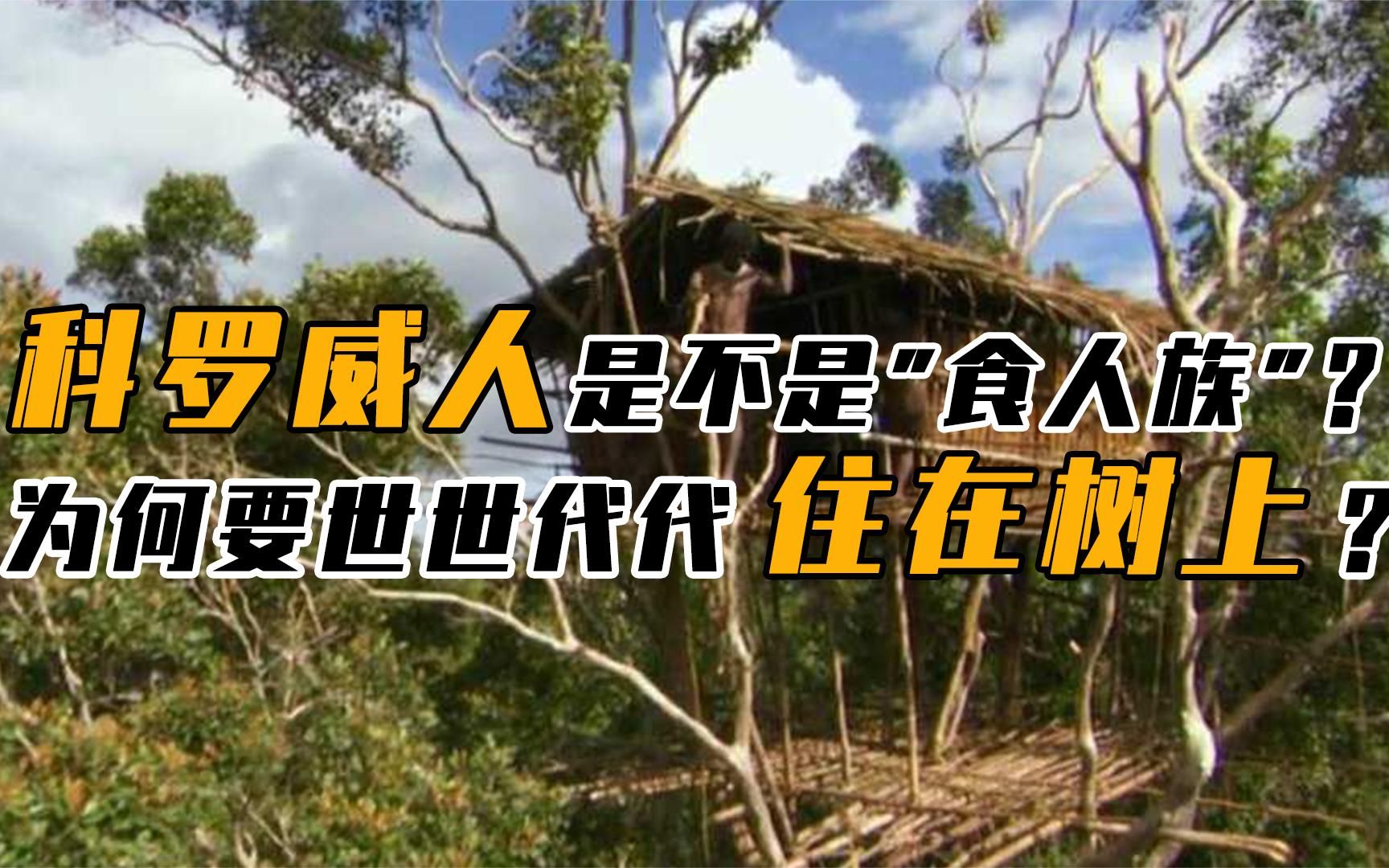 [图]不走寻常路的科罗威人，把家安在50米高树上，“以人为食”是谣传