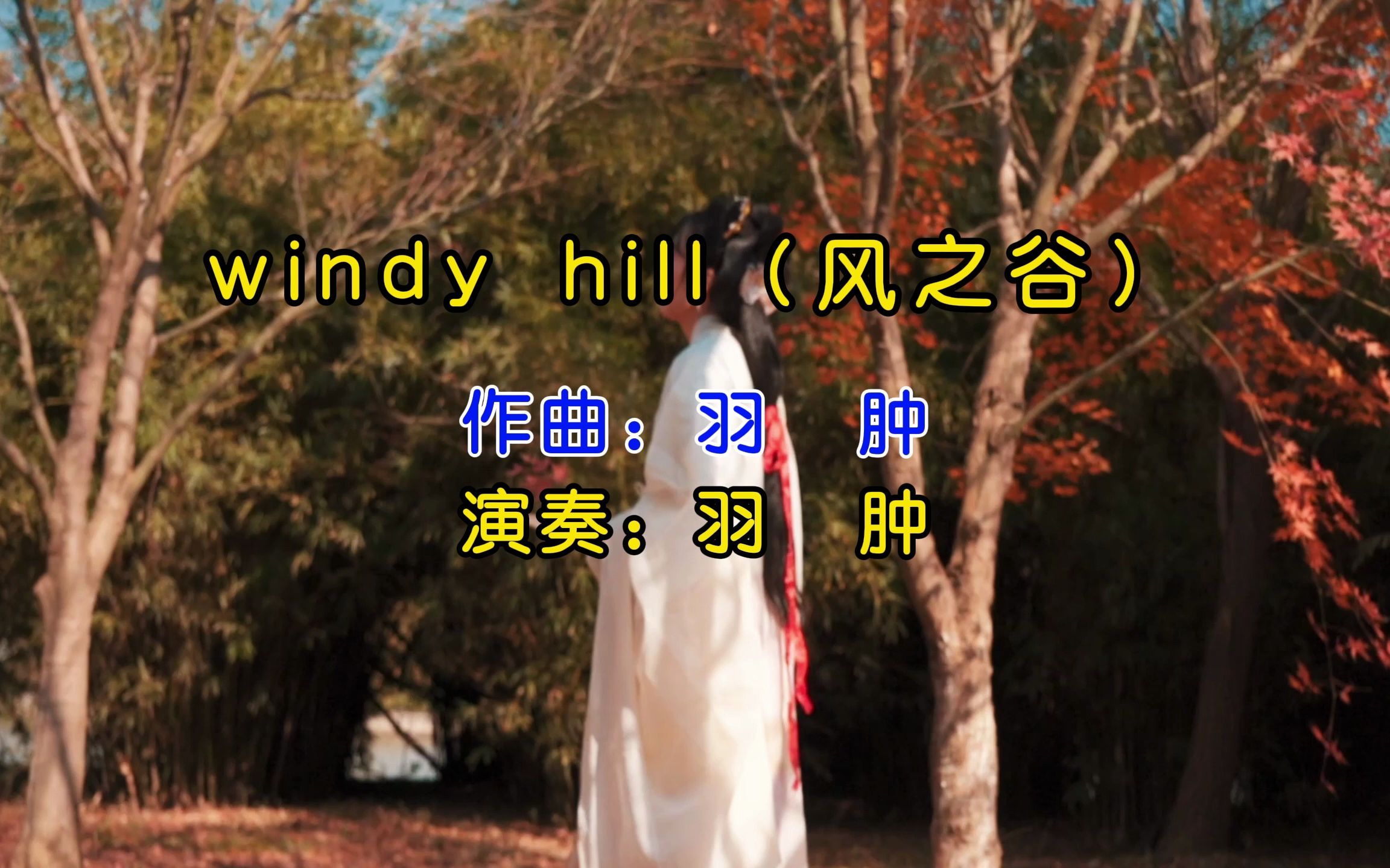 羽肿钢琴演奏《Windy Hill》,优美动听、跌宕起伏的旋律,满足了听众的耳朵,如沐清风,令人耳目哔哩哔哩bilibili