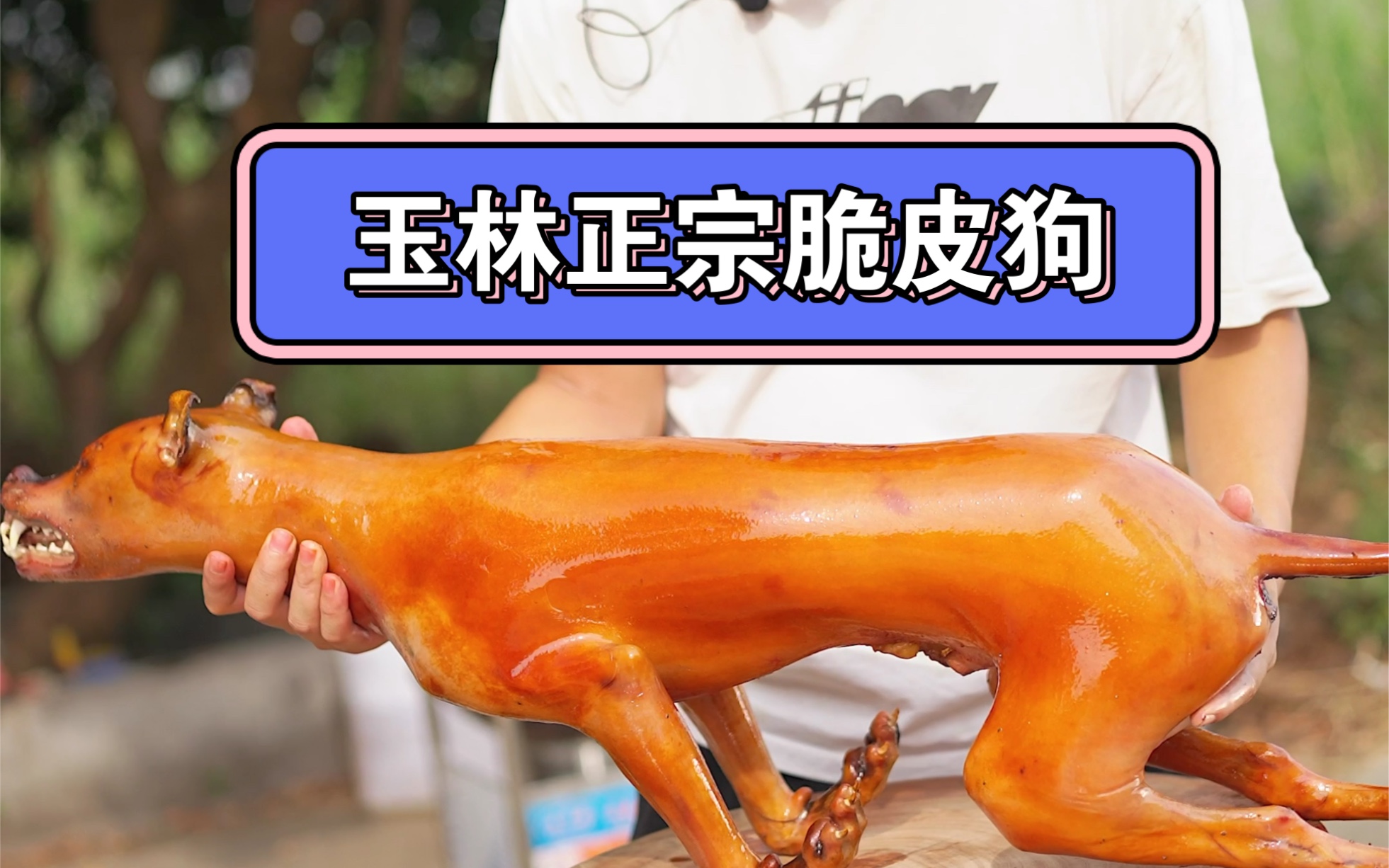 正宗玉林特产美食脆皮狗肉哔哩哔哩bilibili