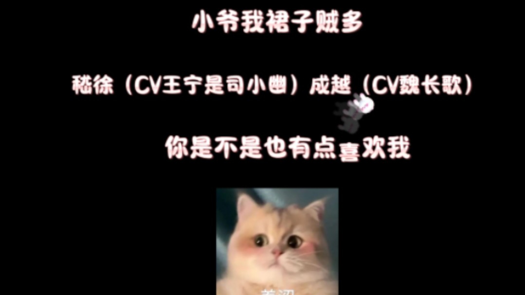 【小爷我裙子贼多】我tm喜欢你