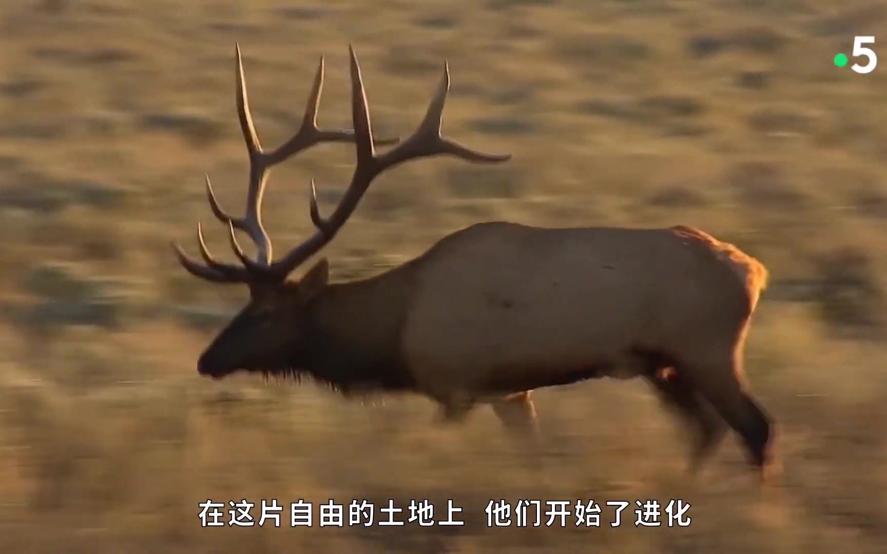 [图]地球的诞生与生命的演化