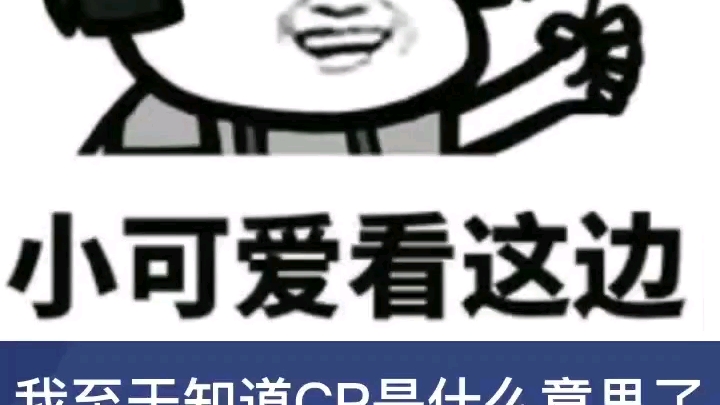 CP的意思哔哩哔哩bilibili