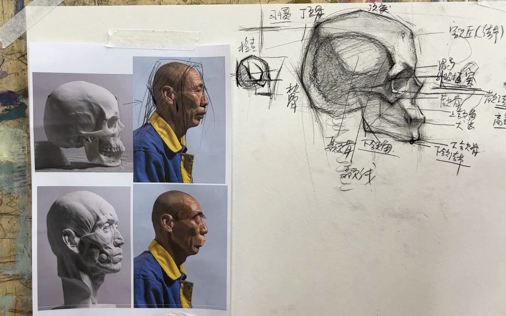 【重点】素描头像结构原理骷髅头影响转折的点!!哔哩哔哩bilibili