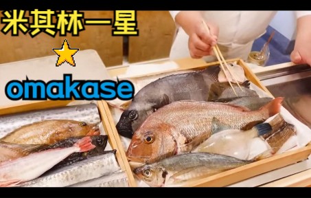 米其林一星omakase,店长当天捕获什么食材就吃什么,交给大自然来决定.哔哩哔哩bilibili