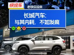 长城汽车：与其内耗，不如发疯