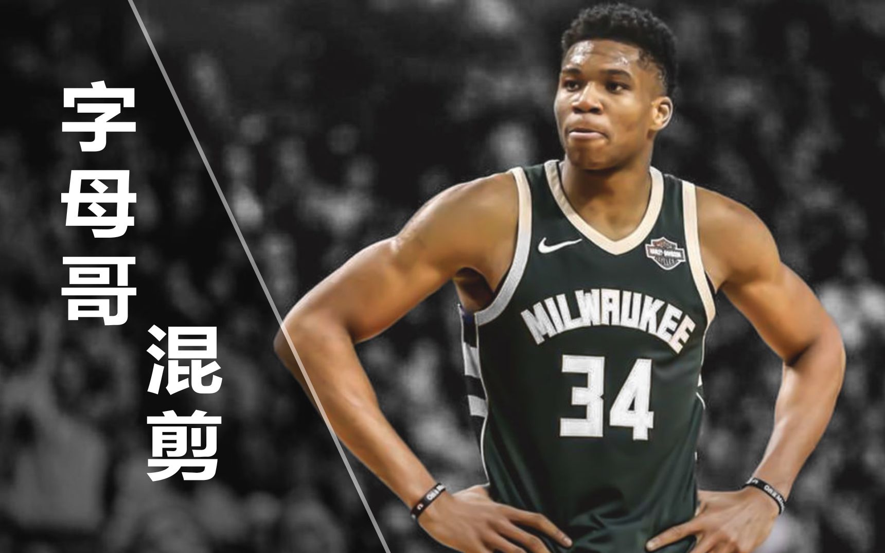 【扬尼斯·阿德托昆博混剪/字母哥】进来学点技术?