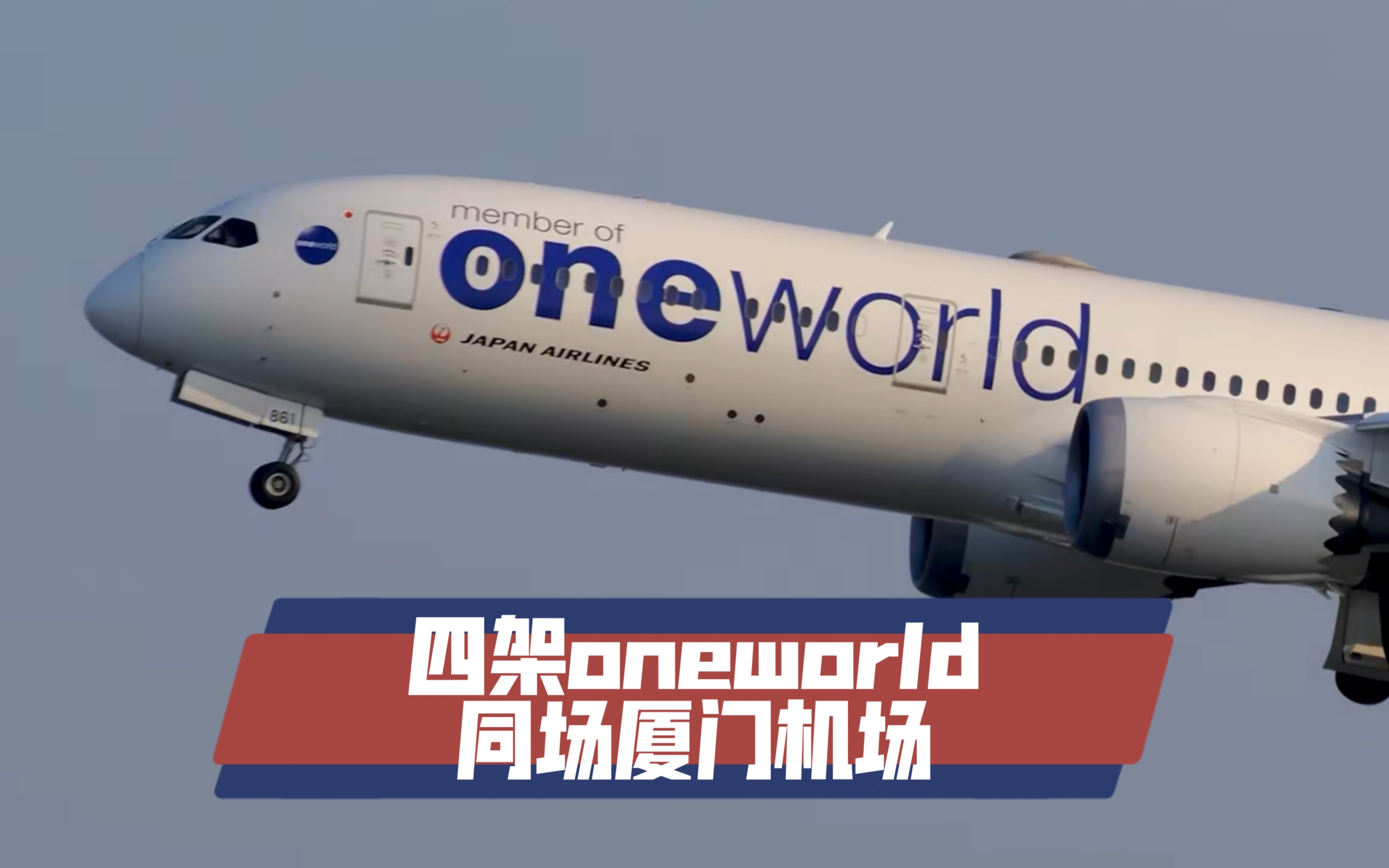 四架oneworld寰宇一家同场厦门高崎国际机场哔哩哔哩bilibili