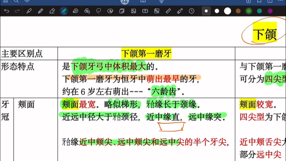 下颌中切牙ppt图片