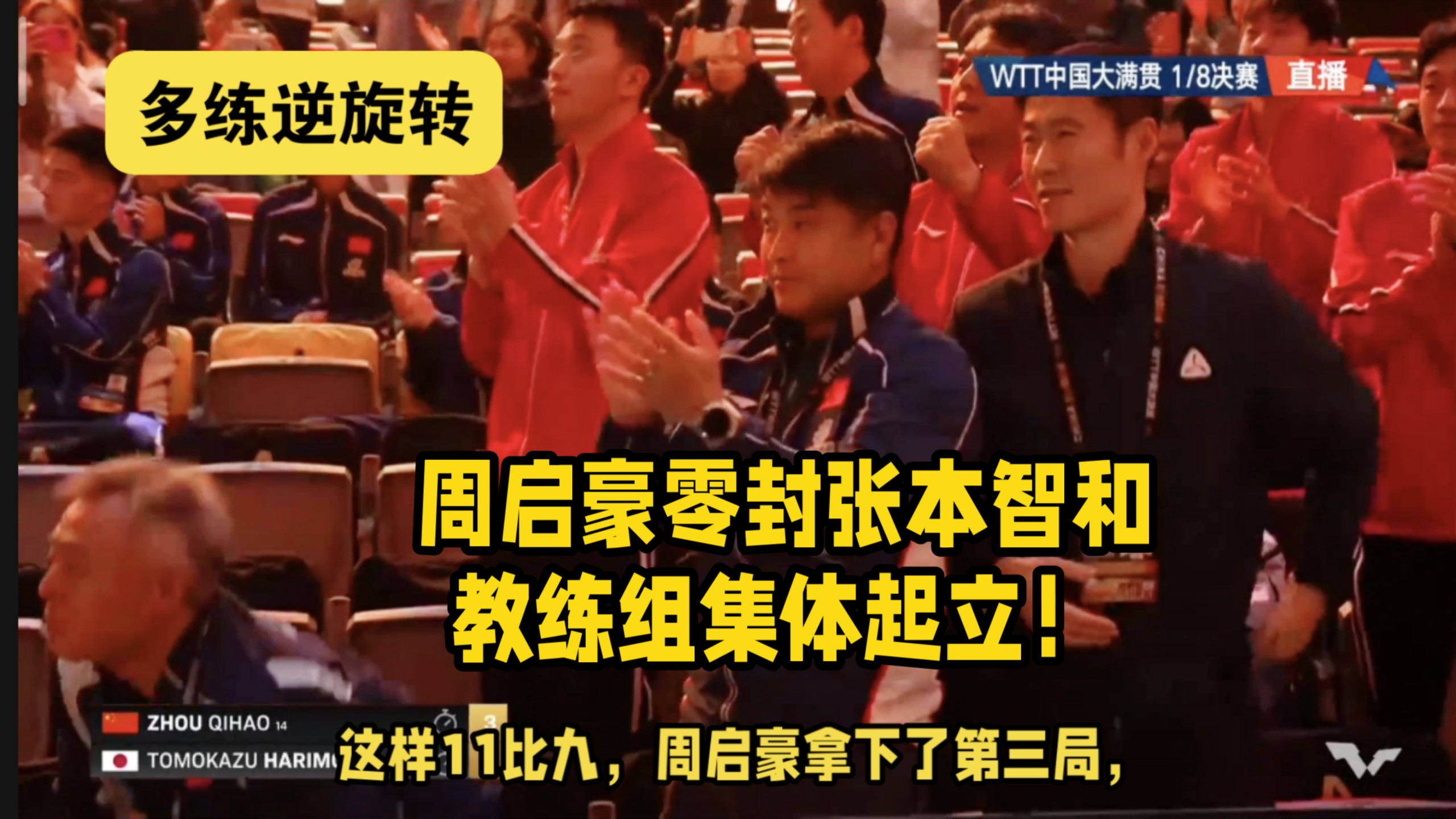 多练逆旋转！周启豪3-0零封张本智和，王励勤王皓集体起立鼓掌！国乒男队终于打入八强！