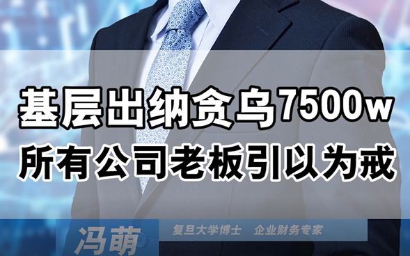 基层出纳贪乌7500万,所有公司老板都要引以为戒哔哩哔哩bilibili