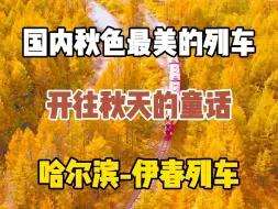 Video herunterladen: 国内秋色天花板的列车，开往秋天的童话，哈尔滨至伊春的列车