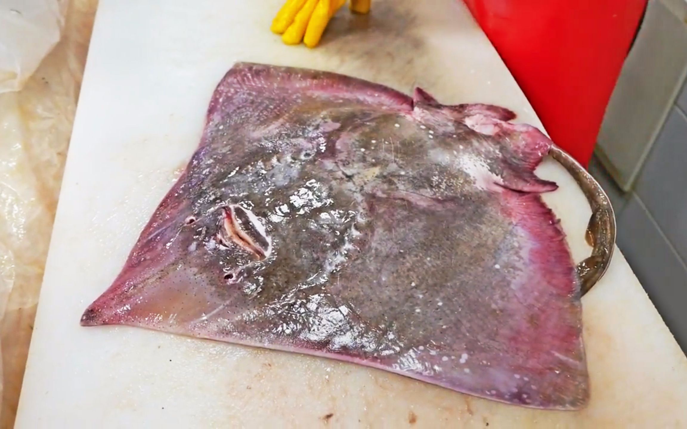 魔鬼鱼料理一鱼三吃 超熟练的分割手艺 韩国海鲜街头美食