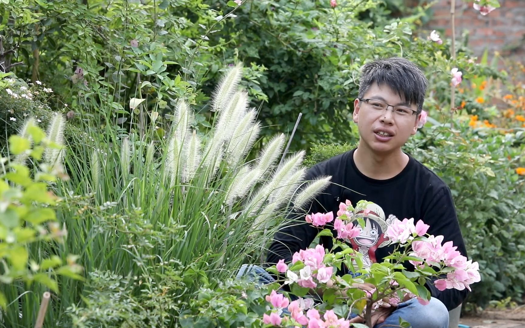 花盆滋生蚂蚁、虫子,这么处理虫子死光光,但是要明白原因哔哩哔哩bilibili