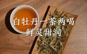 分享白牡丹的两喝法，鲜灵甜润，回味无穷！