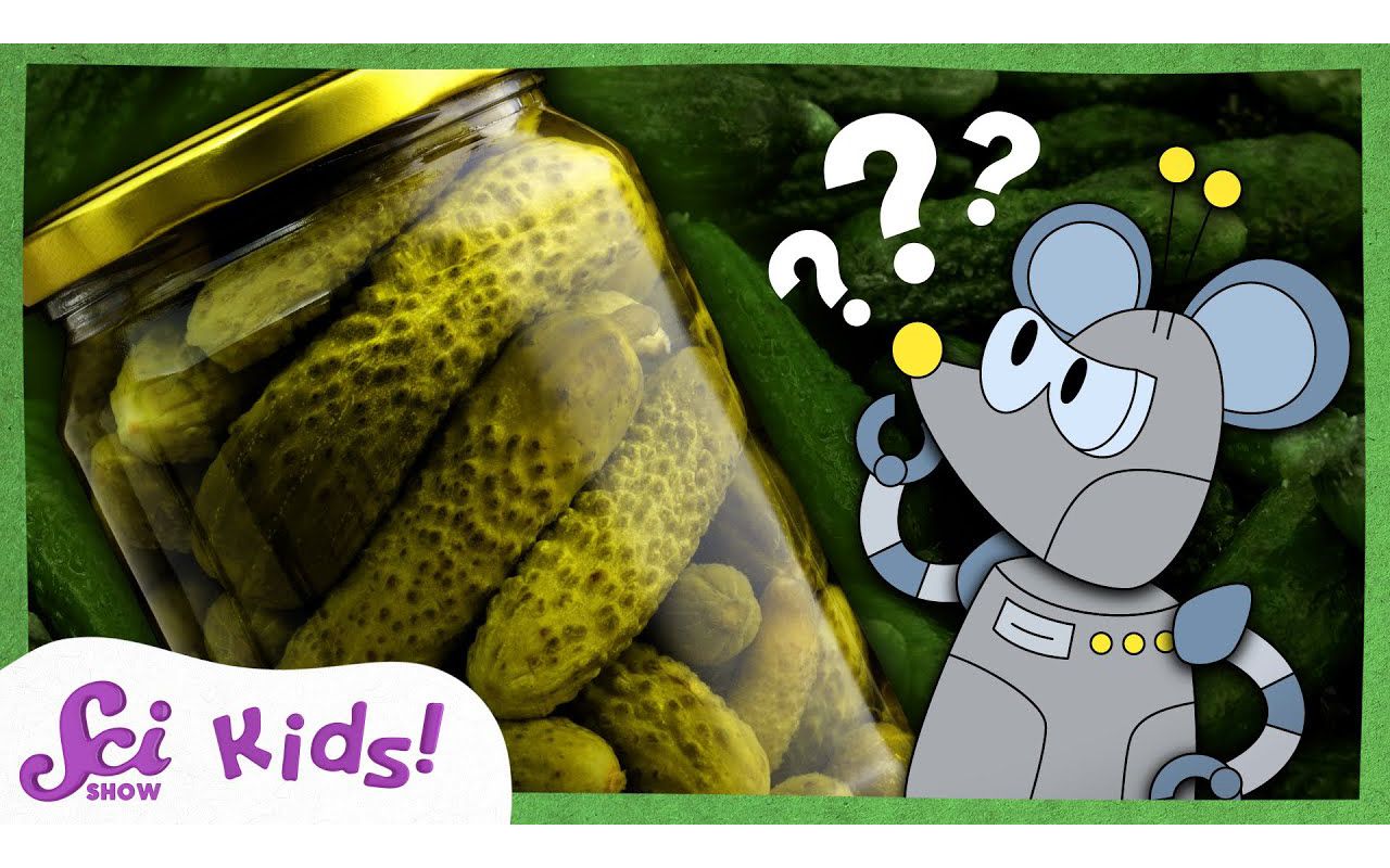 [图]What Are Pickles _ The Science of Food! | SciShow Kids