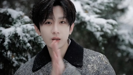 在雪中的成毅太让人心动了!