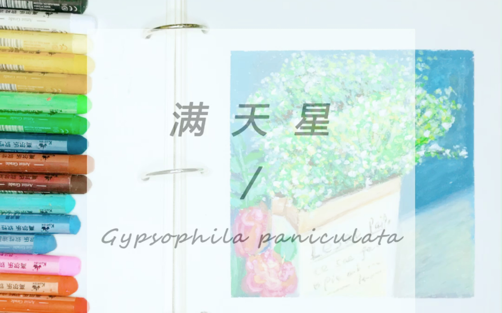 重彩油画棒绘画~满天星 | Gypsophila paniculata哔哩哔哩bilibili