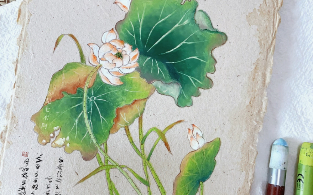 油画棒·水彩国风荷花