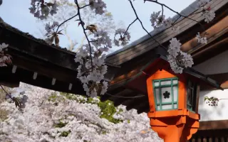 平野神社 搜索结果 哔哩哔哩 Bilibili