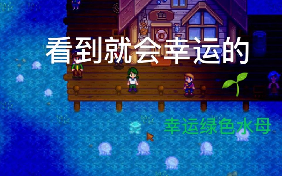 星露谷物语节日特别篇之夏季28天月光水母节看到了幸运绿色水母ω