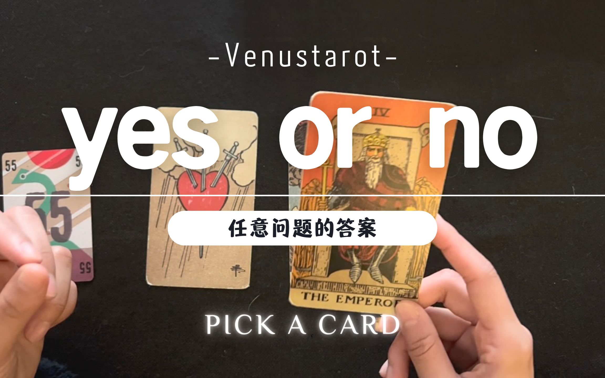 【venus塔罗】任意问题:yes or no?