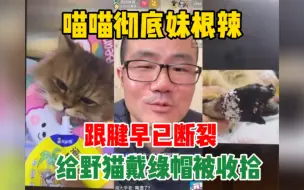 Download Video: 徐静雨：喵喵彻底妹根儿！给野猫戴绿帽被爆锤！永失肉垫！