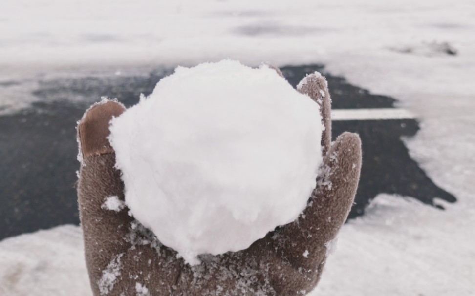 撒盐空中差可拟.未若柳絮因风起.