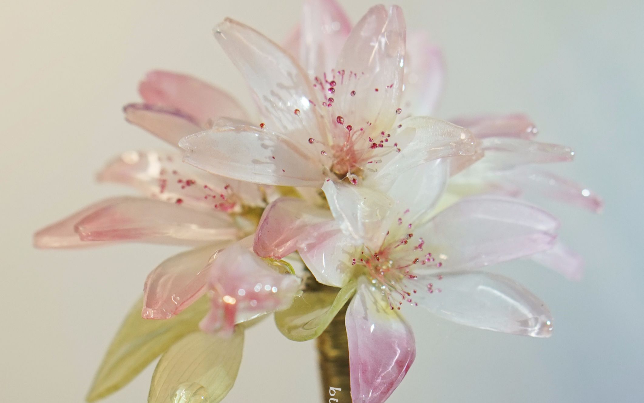 完全热缩樱花【教程向】【成品如图】_哔哩哔哩 (゜-゜)つロ 干杯