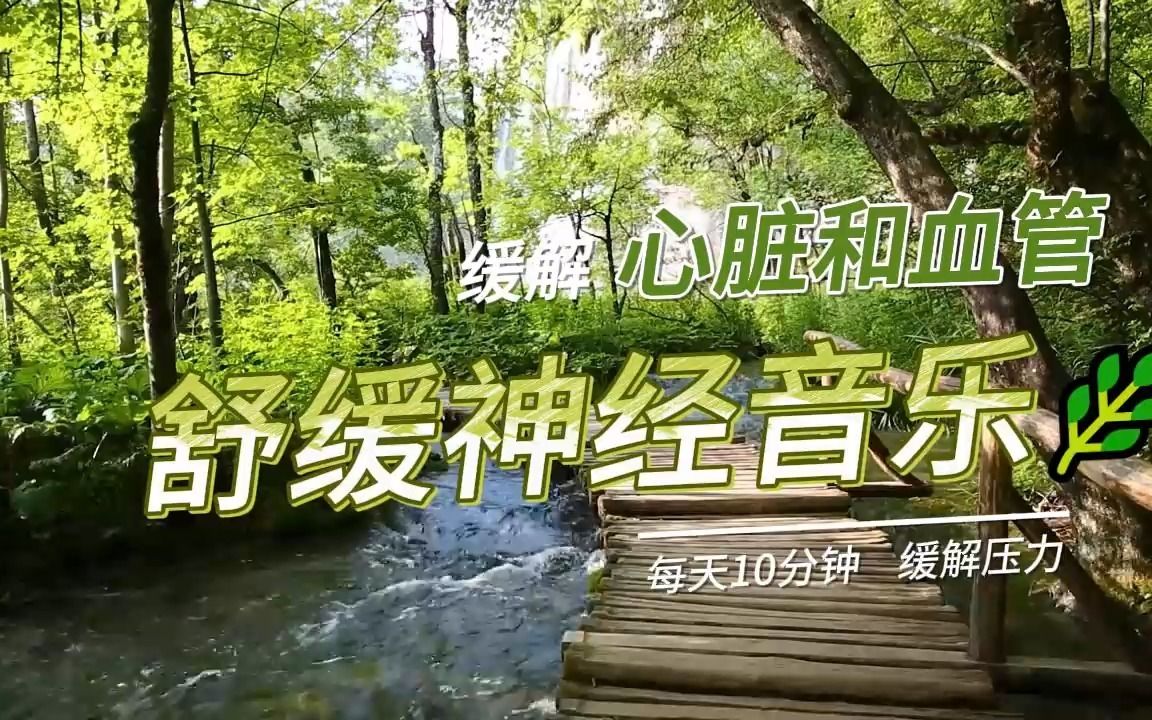 [图]舒缓神经音乐🌿调节心脏和血管的放松音乐，放松，自在