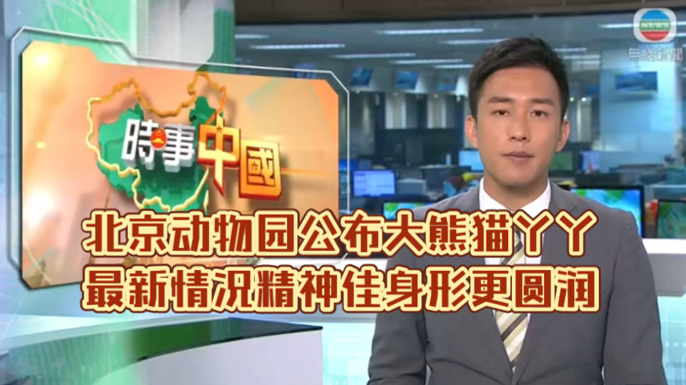 (TVB新闻)北京动物园公布大熊猫丫丫最新情况精神佳身形更圆润哔哩哔哩bilibili