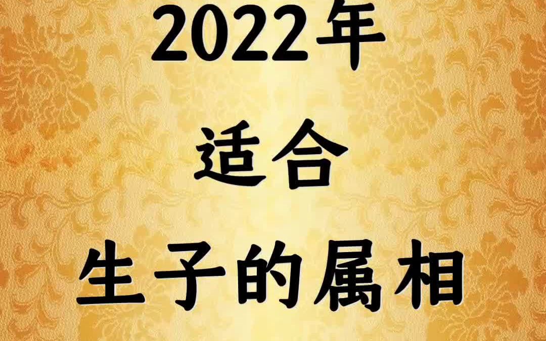 2022年适合生子的属相哔哩哔哩bilibili