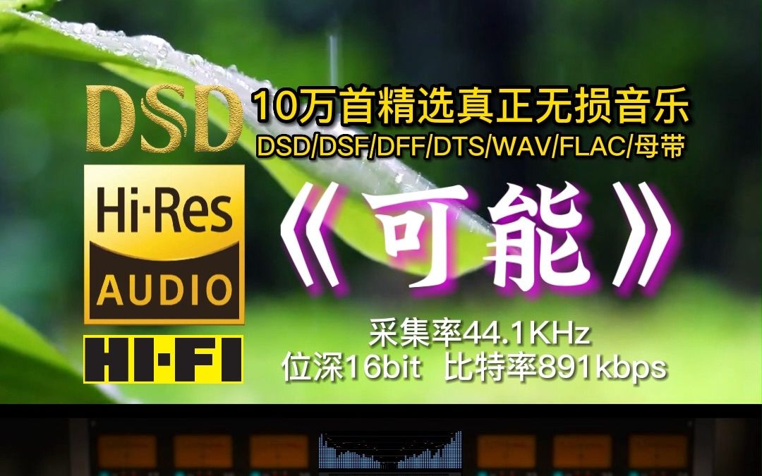 [图]10万首精选真正无损HIFI音乐：万物皆有可能，可能错过，可能遗憾，可能喜欢，可能讨厌…采集率44.1KHz，位深16bit，比特率891kbps