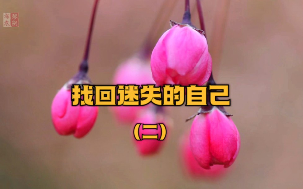 找回迷失的自己(二)死是生的开始,是生命的另一种状态!