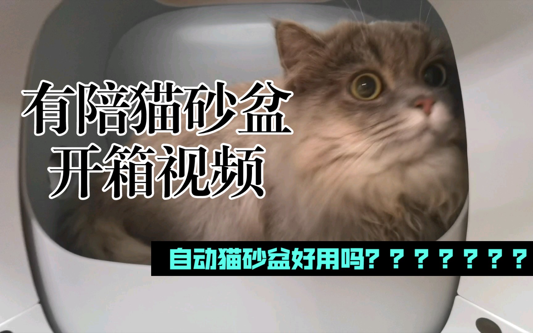 【全自动猫砂盆开箱】——有陪智能猫砂盆电动铲屎 解放双手哔哩哔哩bilibili