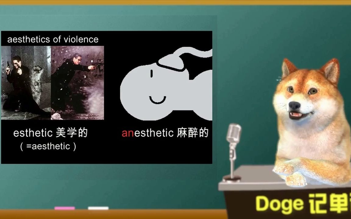 【Doge每日一词0131】aesthetic 美,美感 (雅思词汇IELTS )哔哩哔哩bilibili