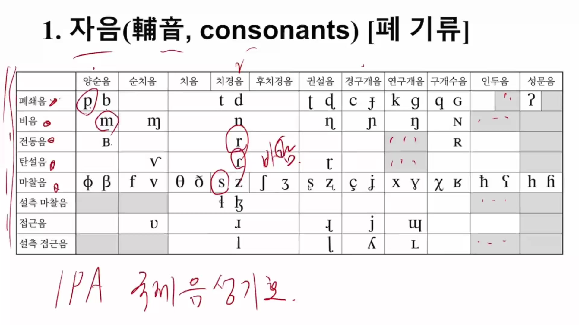 [韩语]一个视频学会ipa国际音标