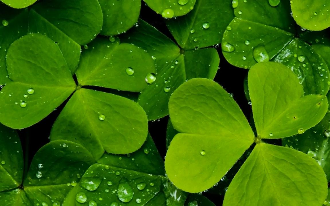 新裤子 分裂 - 歌曲 mv伴奏 官方重置版 4k超清 优化伴奏