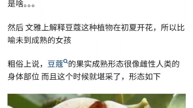 豆蔻年华的由来