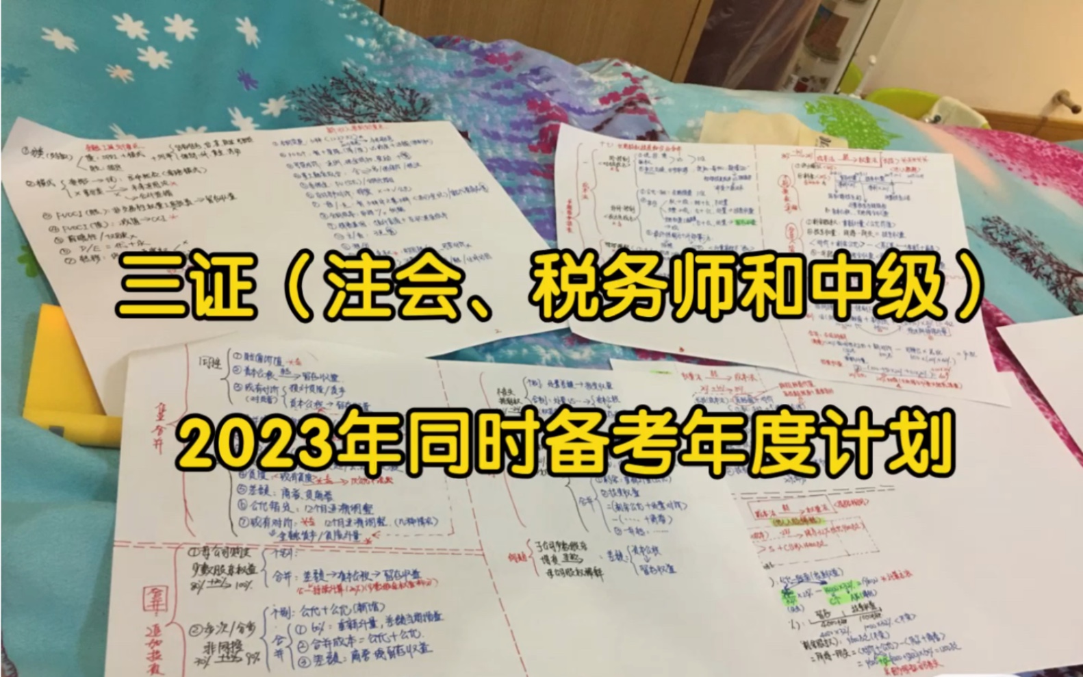 2023年三证(注会、税务师和中级)同时备考年度计划!哔哩哔哩bilibili