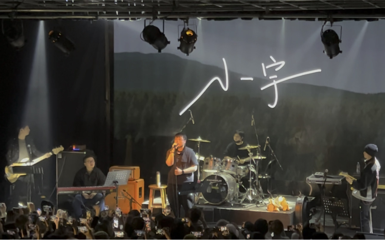 桃德李toddli小宇